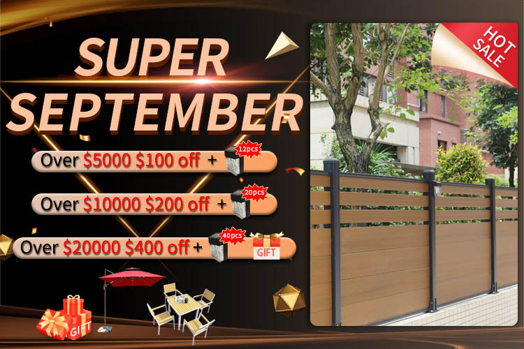 Super Septiembre WPC Promotion-Mexytech