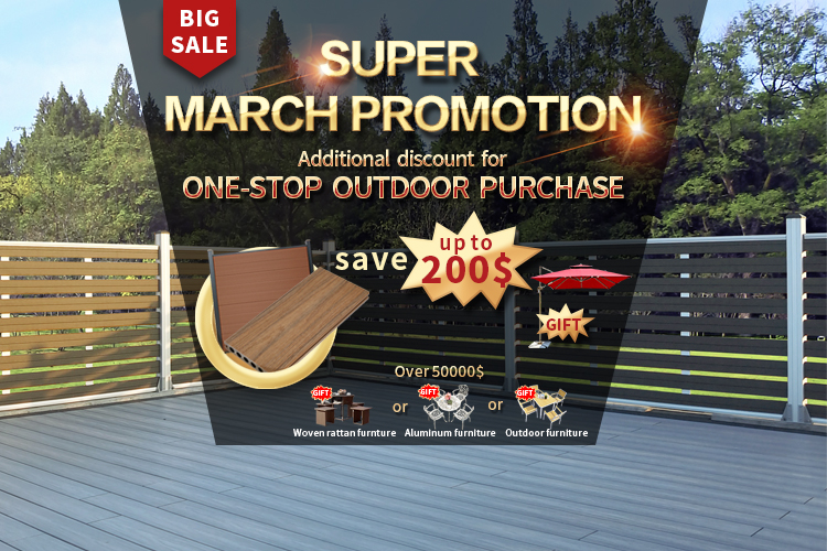 Promoci&oacute;n de WPC