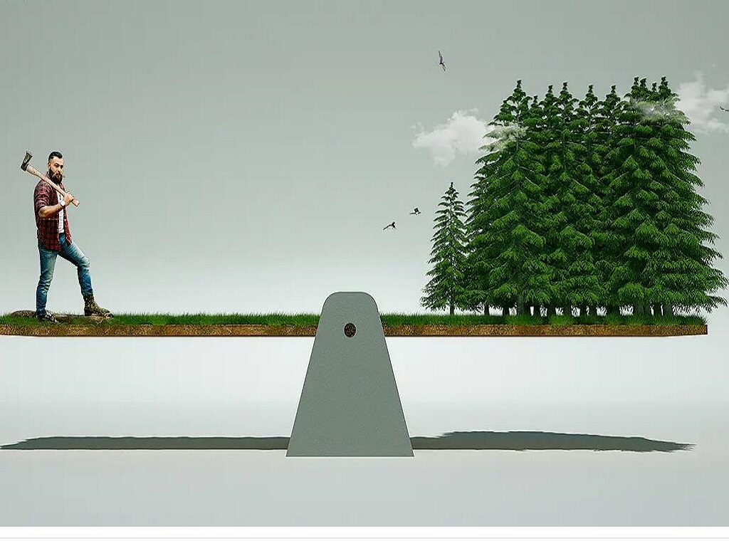 Desestresar el bosque y lograr una vida ecol&oacute;gica