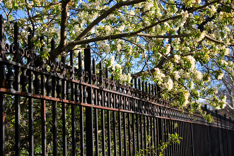 Valla de hierro forjado